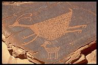 Petroglph at Monument Valley, Arizona