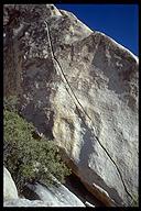 A beautiful crack climb, Room to Shroom (5.9). Joshua Tree NP, California