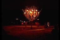 Burning Man 1998 - Tree of Life at night